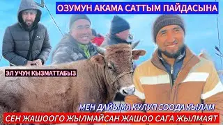 15.01.2026ж ОШ ОБЛ АРАВАН МАЛ БАЗАР