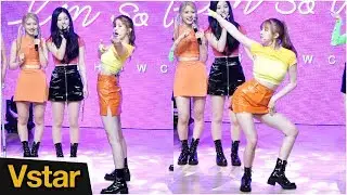 NATURE (네이처) 로하가 직접 보여주는 블랙핑크(BLACKPINK) 'kill this love' 안무 ('I'm So Pretty' Showcase)