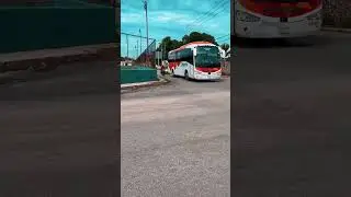 autobuses oriente