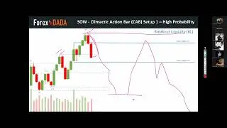 VSA 2.0 | SOW | Climactic Action Bar (CAB 2.0) | Forex Trading in Urdu / Hindi