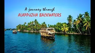 A day through the Backwaters of Alappuzha, Kerala | Wonderful view