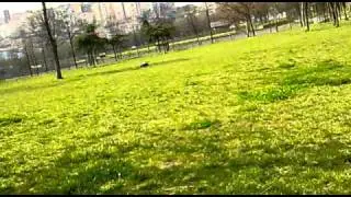SLASH 2 WD MAMBA MAX ESC NOVAK HV 6.5 3400 KV 3 S LIPO  TEST VIDEO