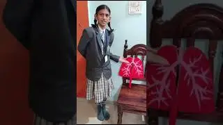new wisdom international school Aaradhya science project class 5th