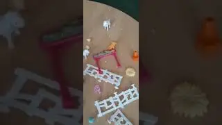 Unboxing Blonde Chloe Pet Vet - By Mishki