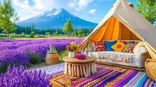 Smooth Jazz in Lavender Field | Relaxing Jazz in a Summer Mountain Garden for Mental Clarity