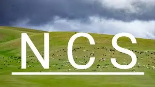 NCS MUSIC LIGHTS-PATRICK PATRIKIOS