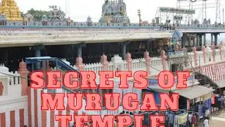 Saluvankuppam Murugan Temple | Oldest Murugan Temple | Story of Kartikeya