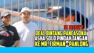 DEAL 3 DIGIT !!️ MURAI BATU BINTANG PANCASONA ASHA SOLO MOVE TO PANLONG SQUAD KEDIRI 🔥