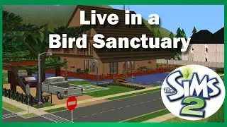 Sims 2 Speedbuild: Live in a beautiful Bird Sanctuary