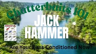 Chatterbait Fishing 101- Why You May Need To Change Up Your ZMan Fishing Jackhammer in 2026 😎 ⁉️⁉️