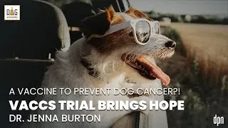 A Vaccine to Prevent Dog Cancer?! VACCS Trial Brings Hope | Dr. Jenna Burton