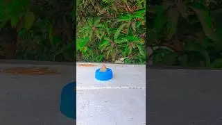 mini sand cake opning viral trending satisfying 🍑 feedshorts kinetic amazing kids shorts 🦊