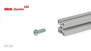 Central Screws GN 21b
