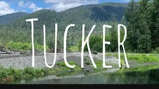 Tucker: Season 2: Episode 2