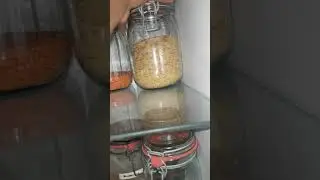 Mottenbefall mottennest gefunden K&uuml;chenschrank😳