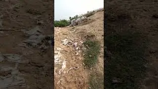 LINH B&Ugrave;I CUỘC SỐNG V&Agrave; T&igrave;NH NGƯỜI  đang ph&aacute;t trực tiếp!