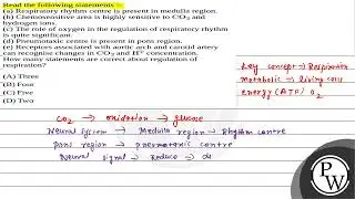 Read the following statements :- (a) Respiratory rhythm centre is present in medulla region. (b)....
