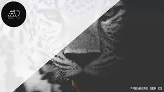 PREMIERE: Silence Path - Nebula (Quatri Remix) [Loot Recordings]