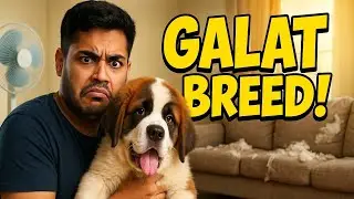 Dog Adoption Ka Sach: Instagram Reels Ne Barbaad Kar Diya!