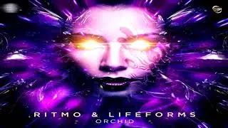 Ritmo & Lifeforms - Orchid