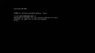 Windows 3.1 (RTM Build 511.1)