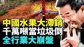 中國水果千萬噸大滯銷，車厘子兩塊一件，草莓5塊一盒無人問津。年關來臨，果農商販哀嚎無人買慘賠 #看大陸