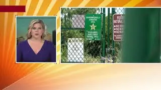 Florida Department of Transportation withdraws permit for controversial State Road 7 extension