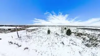10750424