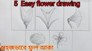 5 easy flower drawing/easy flower drawing tor beginners/easy flower drawing/৫টি ফুল আকা সহজে/ফুল আকা