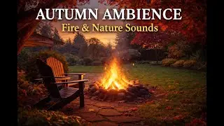 Autumn Fire Ambience 🍂 Cozy Campfire & Nature Sounds for Relax, Study & Sleep