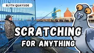 North East Fishing - Blyth Quayside Harbour - Just For Fun