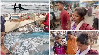 🌊 Pehli Baar Samundar Me Fishing Dekhi ! Live Jellyfish & Balloon Fish Shocked Me 😱