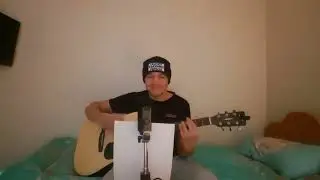 Снегири