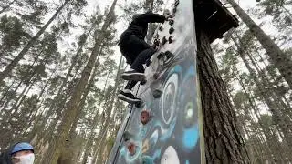 Auckland - Tree adventures
