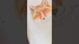 Let's Paint a Fox with Castle Art Watercolor Pencils