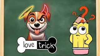 Do dogs really love us and the misconceptions we have about them ?