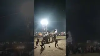 ആറാട്ടുപുഴ അമ്പലത്തിൽ ആന ഇടഞ്ഞു നിരവതി പേർക് പരീക്ക്