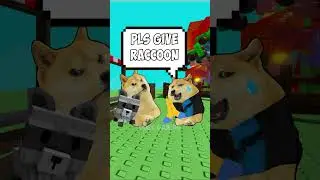 save the raccoon 🦝| Doge Gaming