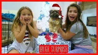 OPENING EARLY CHRISTMAS PRESENT / A NEW PUPPY / AMAZING SURPRISE 