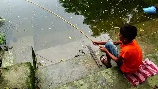 Best Live Fishing Video (Part-29)