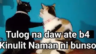 Matulog na daw si ate b4 kaso Kinulit Naman ni Nialica