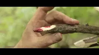 Norman Eschenfelder - Der H&uuml;ttenmann - 2015 Postapocalyptic Short Kurzfilm