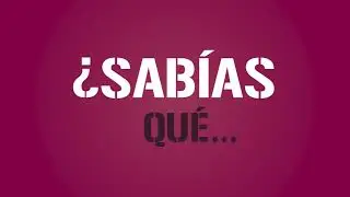 Qu&eacute; son los Consejos Distritales del INE | C&aacute;psula Animada