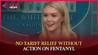 White House on Tariffs & Fentanyl: Trump Pressures Canada & China | HKB News