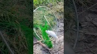 A video to make you feel good #family #fishing #2026