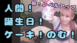 【飲酒雑談！ニンゲンレベルアップ！】筋力に全ステ振り！ケーキのむ…！！！【人間ｓ】