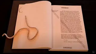 Highlights from Cabinet papers