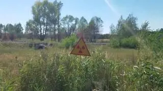 Radioactive Forest in Chernobyl Exclusion Zone