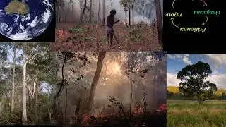 Выжигание как вид фермерства   Firestick Farming