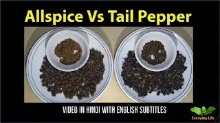Allspice Vs Tail Pepper | ऑलस्पाइस  Vs टेल पैपर | ऑलस्पाइस और कबाब चीनी में अंतर | Everyday Life#190
